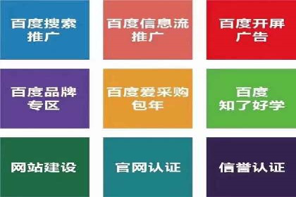 百度推广代运营案例：案例解析：如何实现快速转化